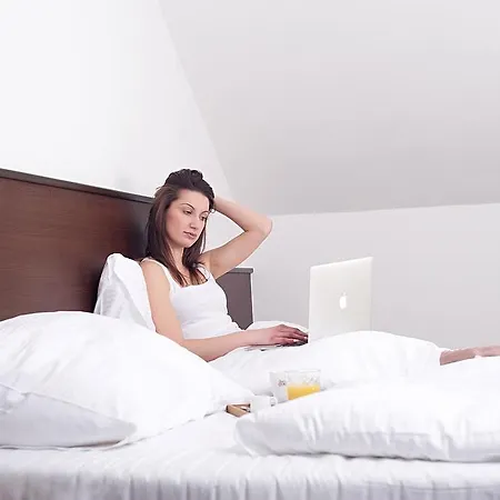 Dobre Hnizdo ゲストハウス Zlín